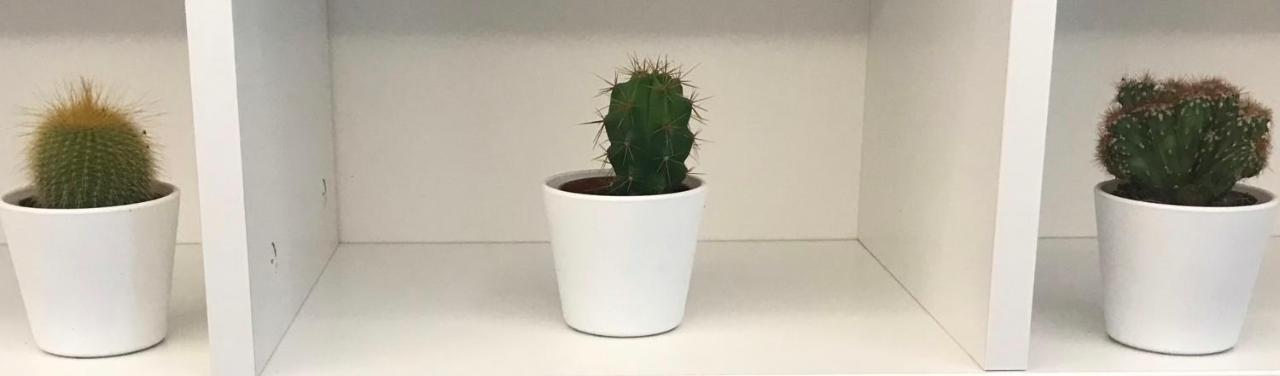 Millie'S Place ソレント エクステリア 写真